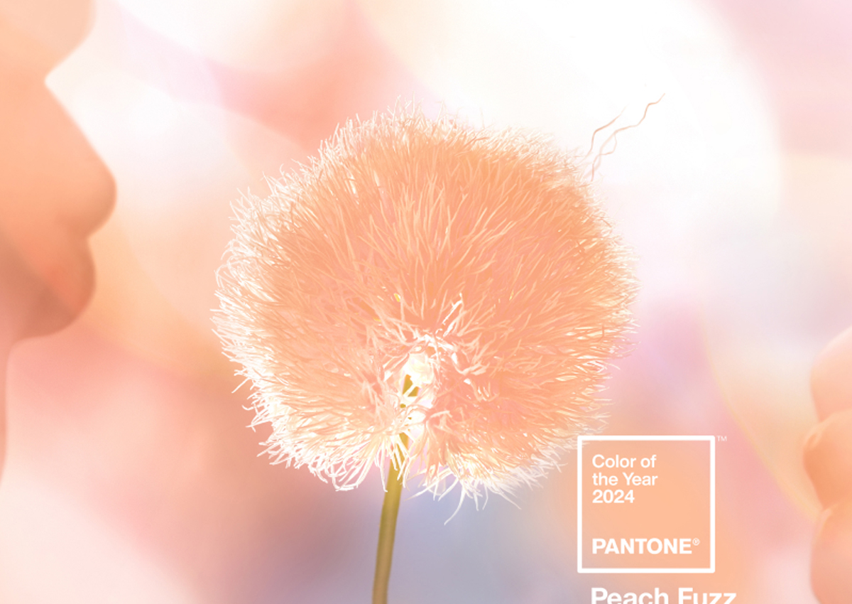 pantone_2024