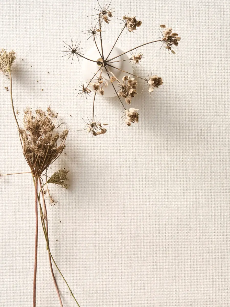 Pure (4)