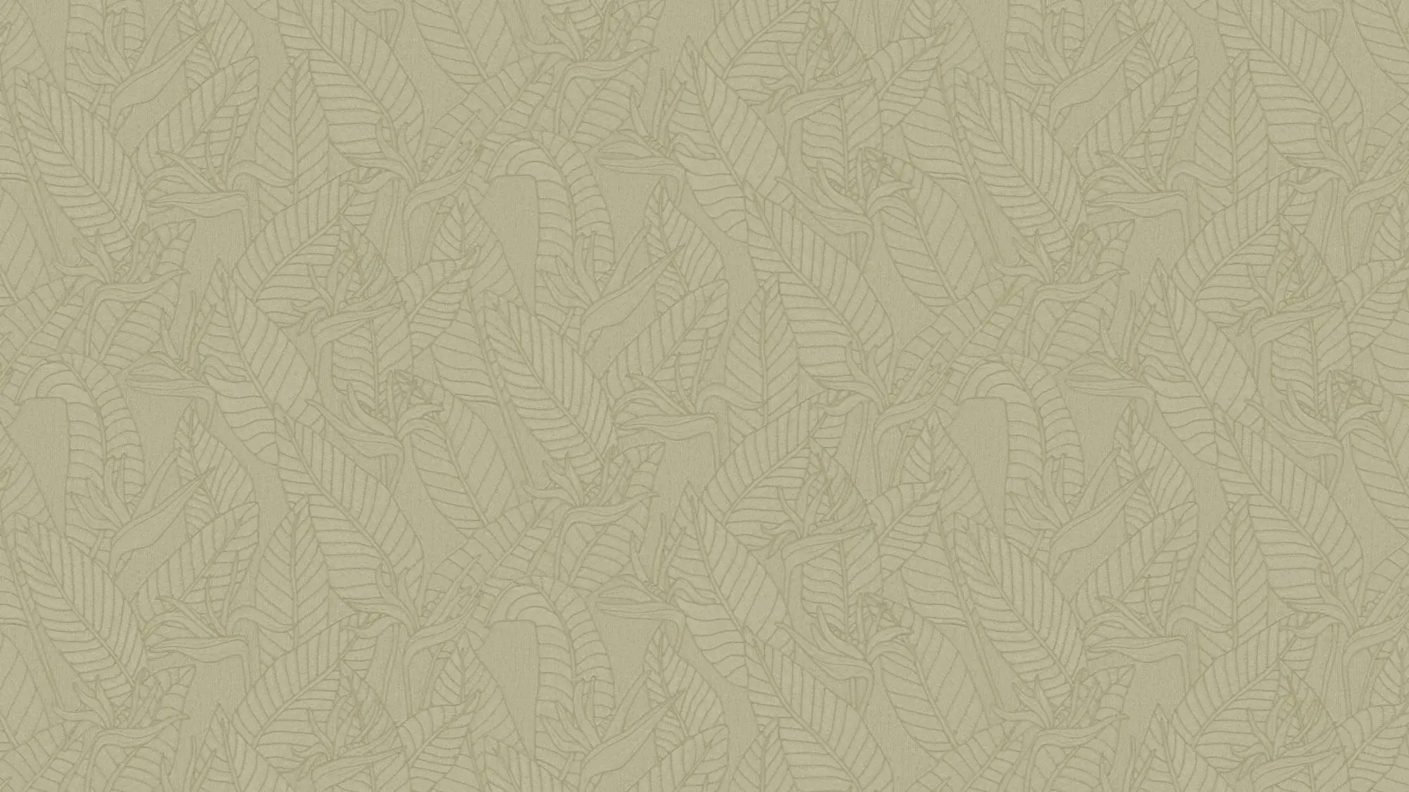imageye___-_media-libraryWpWOAB-full-pattern