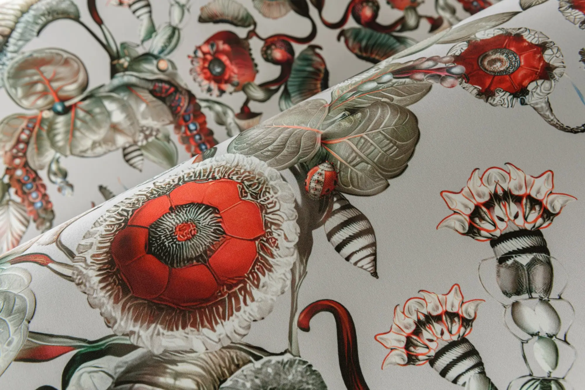 MoooiWallcoveringGreenHouse_CoccinellaBella_MO5000_Mood_Print_HR